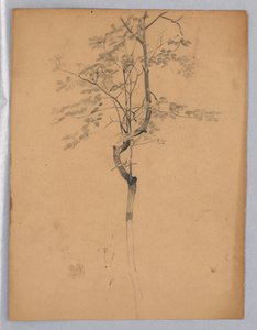 Studio di Foliage