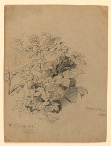 Studio di Foliage da William Trost Richards
