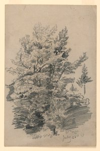 Studio di fogliame da William Trost Richards