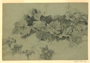 Studio di Foliage