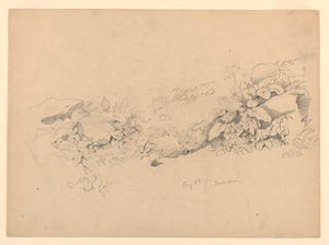 Studio del Fogliame, Trachselwald, Berna, Svizzera da William Trost Richards