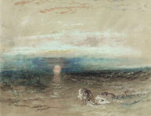 Tramonto sul mare con gallinelle