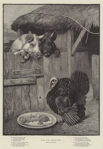 Cibo per la Riflessione da William Weekes