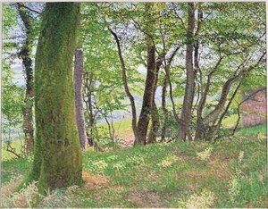 Pomeriggio nel Carmarthenshire da William Wilkins