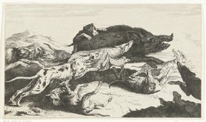 Cani che cacciano un cinghiale