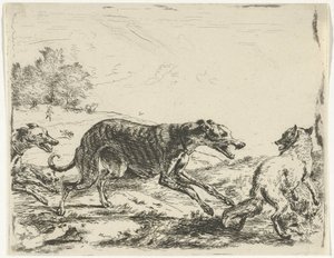 Volpe e tre cani