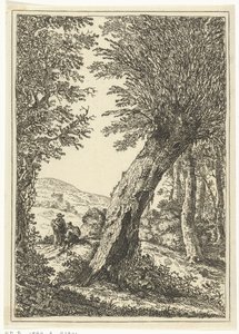 Salice da William Young Ottley