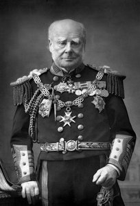 Ammiraglio della flotta Sir Henry Keppel da William and Daniel Downey