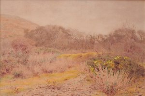 Un freddo giorno di febbraio grigio da Wilmot R.W.S. Pilsbury