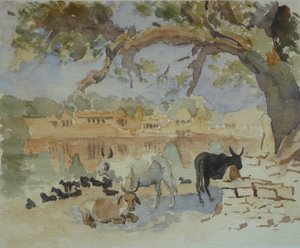435A Jaisalmer - Gadi Sagar (schizzo)