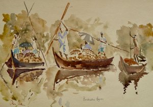 Figure del backwater