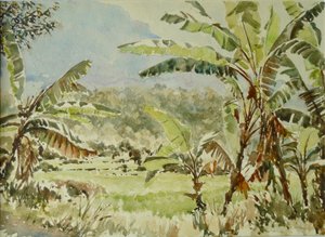 740 alberi di banana, Ramboda da Wilson Clive