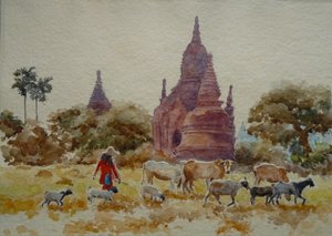 901 Bagan, pastorizia tra i templi da Wilson Clive