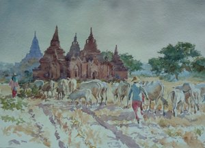 Bagan, ritorno a casa con il gregge da Wilson Clive