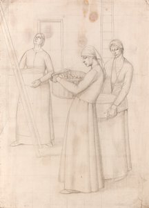Studio per 