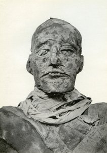 Testa della mummia di Ramesse III, faraone egizio della XX dinastia, c1156 a.C. 1926 da Winifred Mabel Brunton
