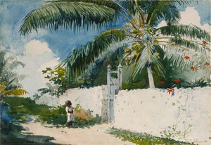 Un giardino a Nassau da Winslow Homer