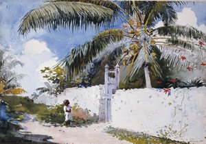 Un giardino a Nassau