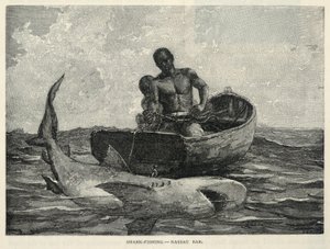 Un venditore ambulante, una porta di Nassau, la pesca degli squali - Nassau Bar, da The Century Magazine, febbraio 1887 da Winslow Homer