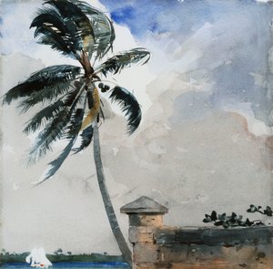 Una brezza tropicale, Nassau da Winslow Homer