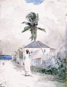 Lungo la Strada, le Bahamas