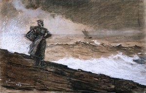 In alto mare, 1884 da Winslow Homer