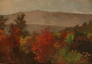 Cime degli alberi in autunno
