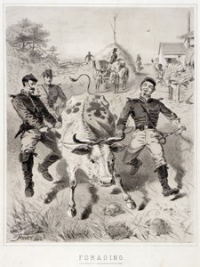 Schizzi di campagna: Foraggiamento da Winslow Homer