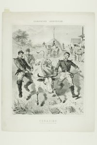 Schizzi di campagna: Foraggiamento