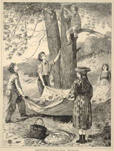 Chestnutting, da Ogni sabato: An Illustrated Journal of Choice Reading, 29 ottobre 1870