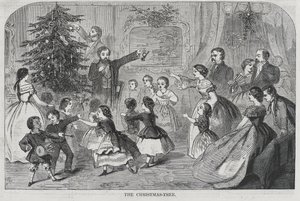 Natale - Raccolta di sempreverdi L