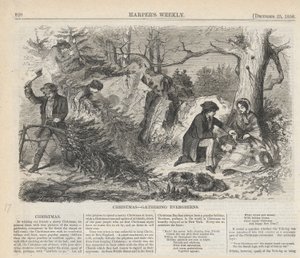 Raccolta di sempreverdi natalizi, da Harper