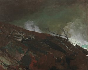 Costa del Maine da Winslow Homer