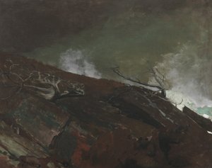 Costa del Maine, 1893 da Winslow Homer