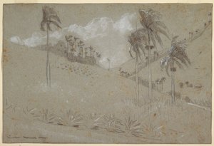 Disegno, collina cubana, 1885 da Winslow Homer