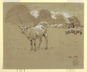 Disegno, Pecore al pascolo in un campo, 1875-78 ca. da Winslow Homer