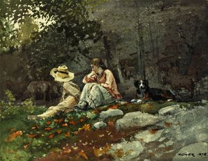 Gregge di pecore, Houghton Farm, 1878