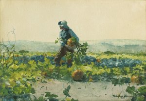 Essere un ragazzo di campagna