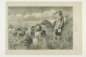 Raccolta di bacche