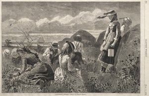  da Winslow Homer