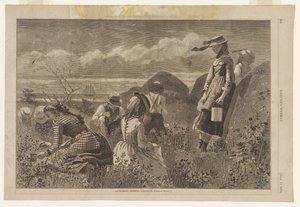  da Winslow Homer