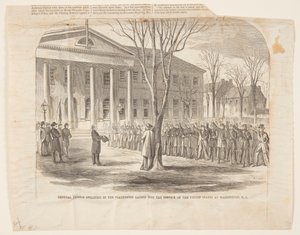Il generale Thomas che giura i volontari chiamati al servizio degli Stati Uniti a Washington D.C. da Winslow Homer