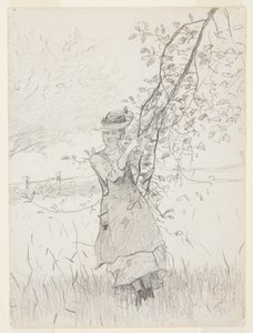 Ragazza che tiene un ramo di melo da Winslow Homer