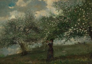 Ragazza che raccoglie fiori di melo da Winslow Homer
