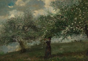 Ragazza che raccoglie fiori di melo da Winslow Homer