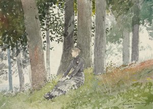 Ragazza seduta in un boschetto da Winslow Homer
