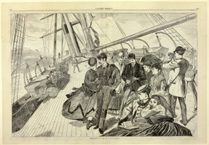 Homeward Bound, da Harper