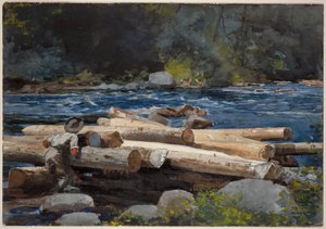  da Winslow Homer
