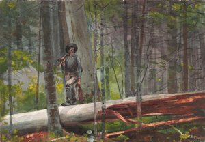  da Winslow Homer