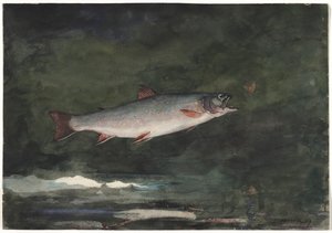 Trota che salta, 1889